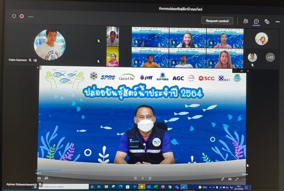 บริษัท-บีแอลซีพี-เพาเวอร์-จำกัด-blcp-จัดกิจกรรมปล่อยพันธุ์สัตว์น้ำ