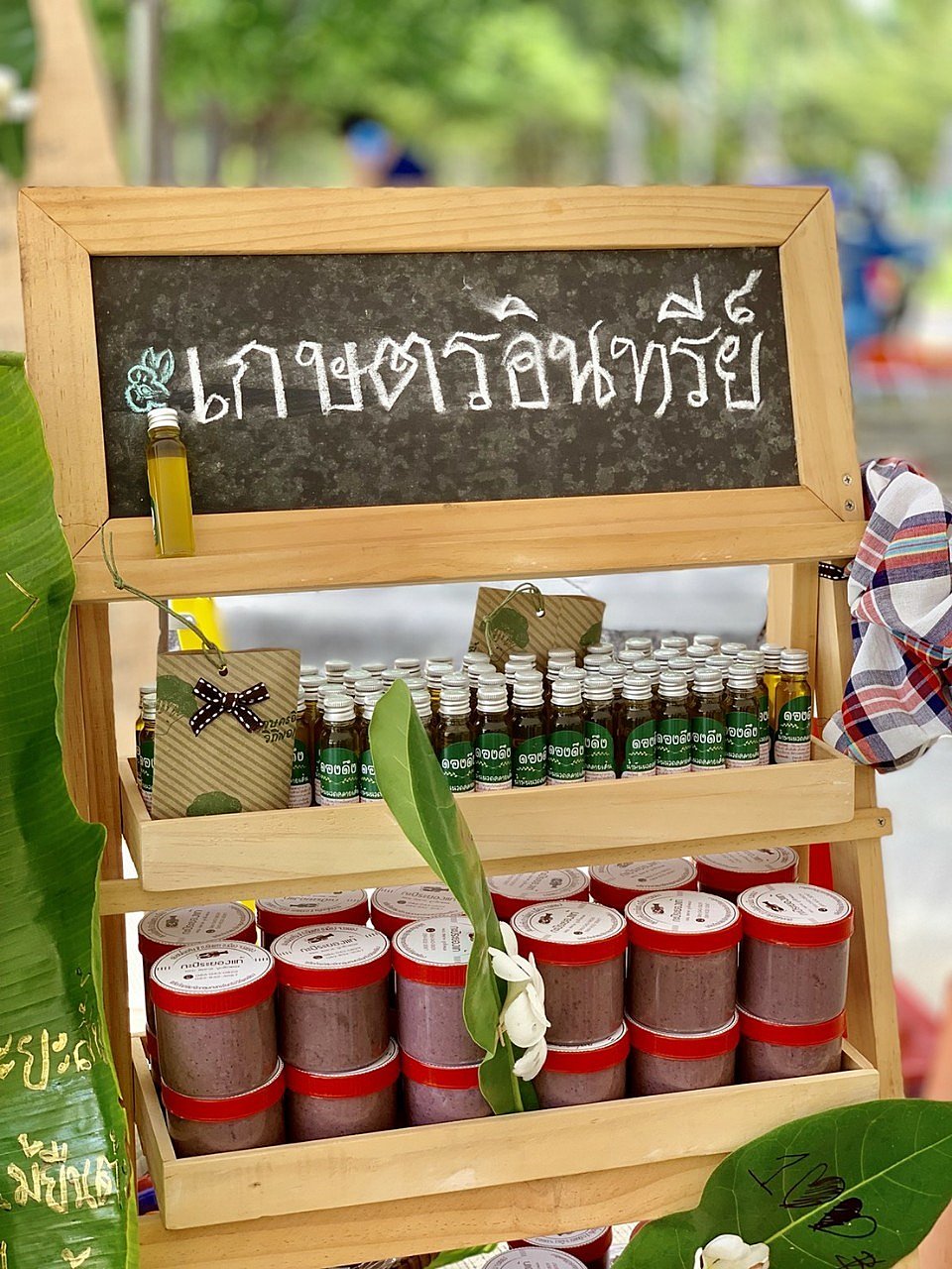โครงการเกษตรอินทรีย์วิถีพอเพียง-2