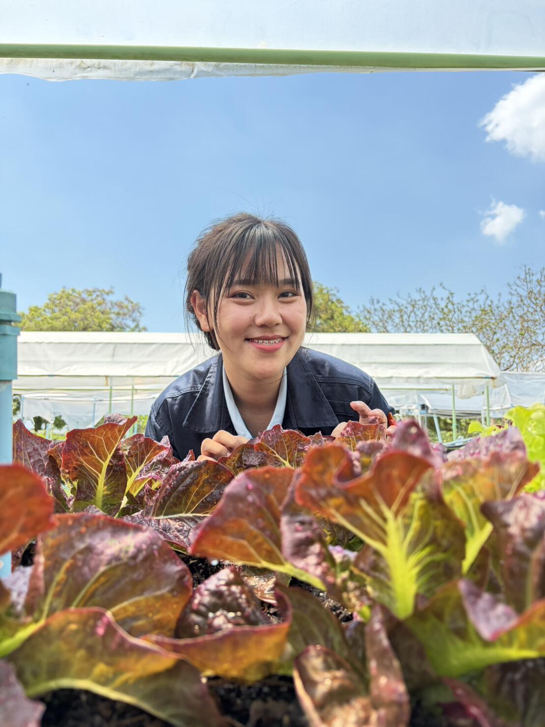 blcp-green-area-พื้นที่สีเขียว-และแปลงผักปลอดสาร-ในโรงไฟฟ้าบีแอลซีพี