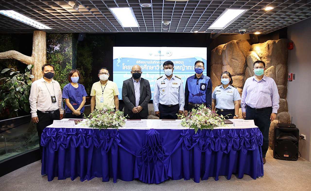 BLCP-จับมือภาครัฐและชุมชนในพื้นที่-ฟื้นฟูระบบนิเวศ-“หญ้าทะเล”-บริเวณเกาะสะเก็ด-จ-ระยอง-20210225115206