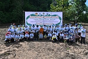 โรงไฟฟ้าบีแอลซีพี-ร่วมกิจกรรมปลูกป่าชุมชนบ้านมะเดื่อ