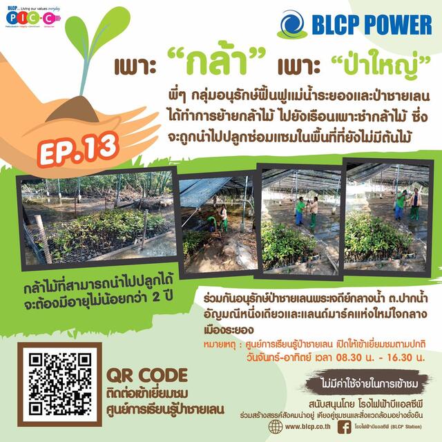 รอบรู้เรื่องป่าชายเลน