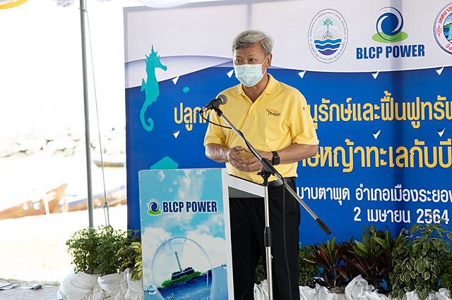 BLCP-ร่วมฟื้นฟูระบบนิเวศ-“หญ้าทะเล”-บริเวณเกาะสะเก็ด-จ-ระยอง-20210404145322