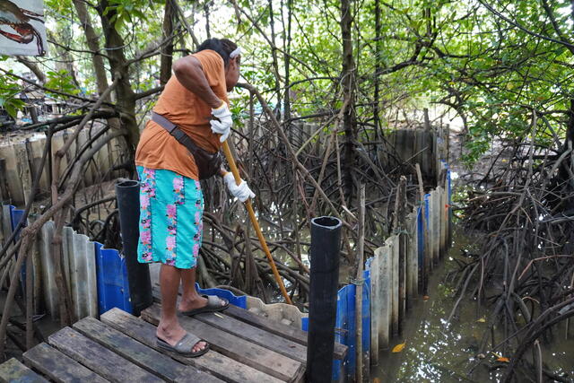 โครงการกำแพงกั้นขยะในแม่น้ำระยอง