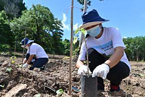 โรงไฟฟ้าบีแอลซีพี-ร่วมกิจกรรมปลูกป่าชุมชนบ้านมะเดื่อ