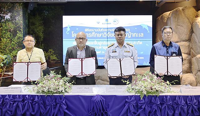 BLCP-จับมือภาครัฐและชุมชนในพื้นที่-ฟื้นฟูระบบนิเวศ-“หญ้าทะเล”-บริเวณเกาะสะเก็ด-จ-ระยอง-20210225115206