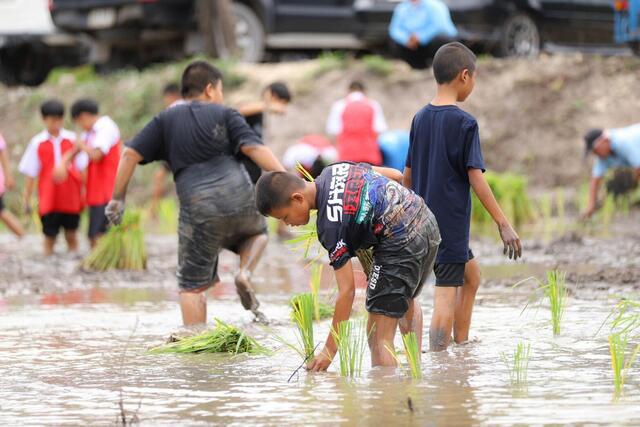 blcp-จับมือชุมชนคลองน้ำหูและภาคีเครือข่าย-ร่วมสืบสานภูมิปัญญาวิถีทำนาข้าว