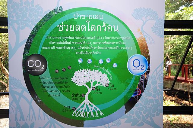 BLCP-ส่งมอบอาคารศูนย์การเรียนรู้ป่าชายเลนพระเจดีย์กลางน้ำ-อัญมณีหนึ่งเดียวและแลนด์มาร์คแห่งใหม่ใจกลางเมืองระยอง