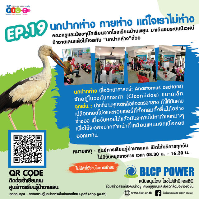 รอบรู้เรื่องป่าชายเลน