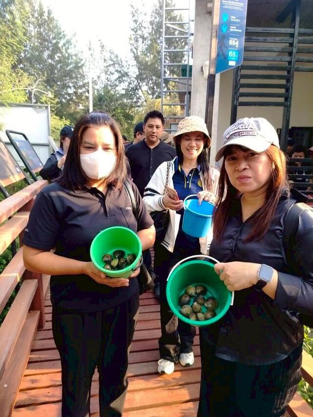 โครงการท่องเที่ยวเชิงนิเวศป่าชายเลนเจดีย์กลางน้ำและแม่น้ำระยอง