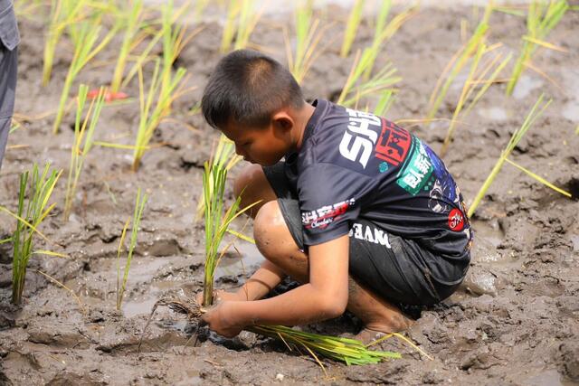 blcp-จับมือชุมชนคลองน้ำหูและภาคีเครือข่าย-ร่วมสืบสานภูมิปัญญาวิถีทำนาข้าว