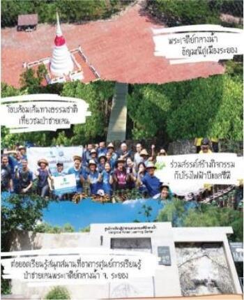 การปลูกป่าและการปลูกป่าชายเลนเพื่อลดการปล่อยก๊าซคาร์บอนไดออกไซด์