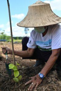 โรงไฟฟ้าบีแอลซีพี-ร่วมกิจกรรมปลูกป่าชุมชนบ้านมะเดื่อ