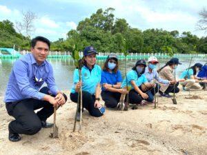 BLCP-ร่วมปลูกป่าชายเลน-เพิ่มพื้นที่ป่าในเมือง-“ป่าชายเลนพระเจดีย์กลางน้ำ-อัญมณีหนึ่งเดียวในระยอง”