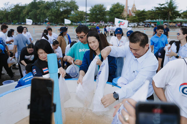 blcp-ร่วมกับพันธมิตร-ปล่อยพันธุ์สัตว์น้ำกว่า-9-ล้านตัว-คืนชีวิตให้ทะเลระยอง