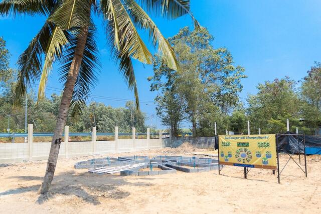 blcp-พัฒนา-โรงเรียนสุขภาพดี-วิถีเกษตรอินทรีย์-eco-school