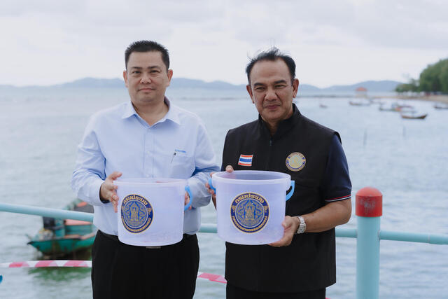 blcp-ร่วมกับพันธมิตร-ปล่อยพันธุ์สัตว์น้ำกว่า-9-ล้านตัว-คืนชีวิตให้ทะเลระยอง