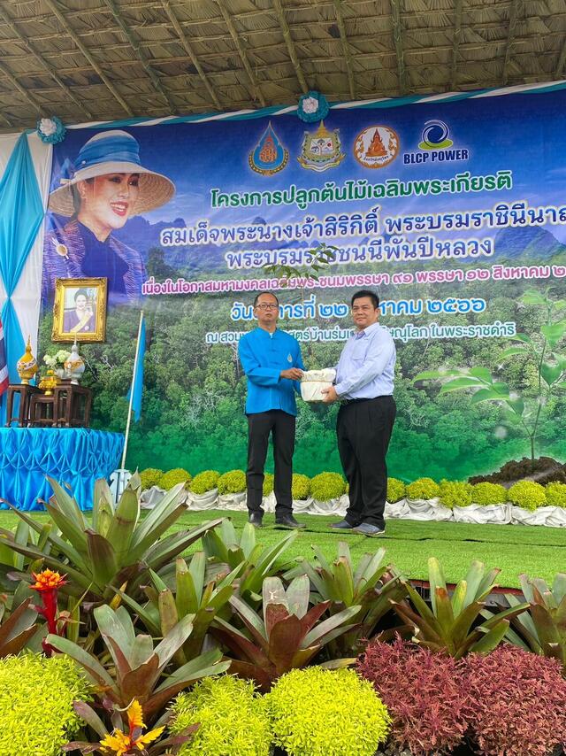โรงไฟฟ้าบีแอลซีพี-สร้างสมดุลของระบบนิเวศ-สนับสนุนต้นพันธุ์ซากุระ-ณ