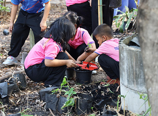 BLCP-นำร่องโรงเรียนต้นแบบ-“สุขภาพดี-วิถีเกษตรอินทรีย์”-ให้แก่โรงเรียนวัดกรอกยายชา-จ-ระยอง-20210401172230