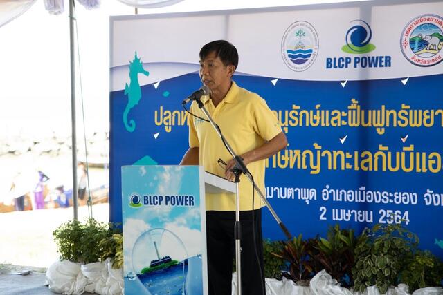 blcp-ร่วมฟื้นฟูระบบนิเวศ-หญ้าทะเล-บริเวณเกาะสะเก็ด-จ-ระยอง