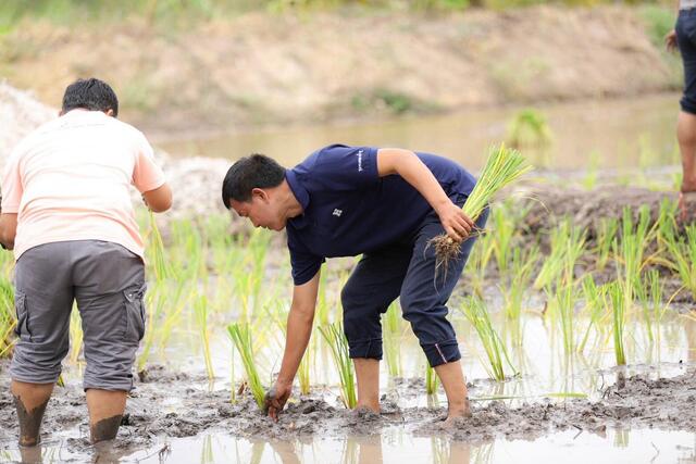 blcp-จับมือชุมชนคลองน้ำหูและภาคีเครือข่าย-ร่วมสืบสานภูมิปัญญาวิถีทำนาข้าว