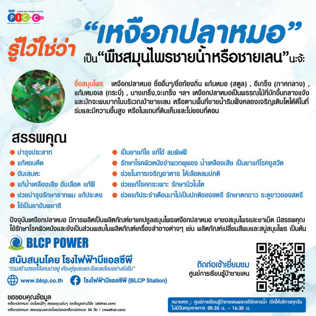 รอบรู้เรื่องป่าชายเลน