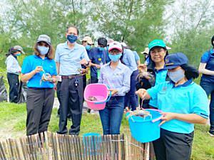 BLCP-ร่วมปลูกป่าชายเลน-เพิ่มพื้นที่ป่าในเมือง-“ป่าชายเลนพระเจดีย์กลางน้ำ-อัญมณีหนึ่งเดียวในระยอง”