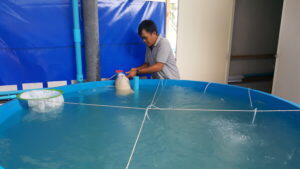 โครงการฟาร์มเพาะพันธุ์สัตว์น้ำ-3