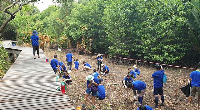 BLCP-ขอแนะนำ-“พระเจดีย์กลางน้ำ”-และ-“อาคารศูนย์การเรียนรู้ป่าชายเลนฯ”-อัญมณีหนึ่งเดียวและแลนด์มาร์คแห่งใหม่ใจกลางเมืองระยอง-20201219112918