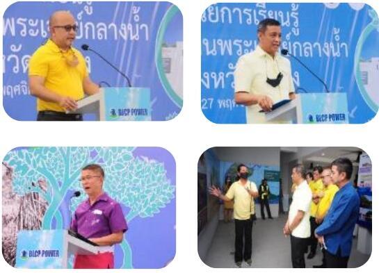 การปลูกป่าและการปลูกป่าชายเลนเพื่อลดการปล่อยก๊าซคาร์บอนไดออกไซด์
