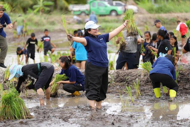 blcp-จับมือชุมชนคลองน้ำหูและภาคีเครือข่าย-ร่วมสืบสานภูมิปัญญาวิถีทำนาข้าว