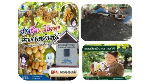 โครงการเกษตรอินทรีย์-วิถีพอเพียง