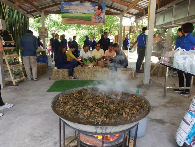 โครงการเกษตรอินทรีย์วิถีพอเพียง