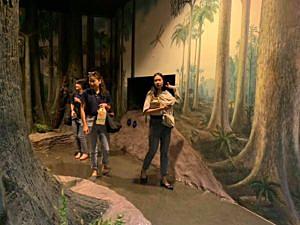 บริษัท-บ้านปู-จำกัด-(มหาชน)-เยี่ยมชมโรงไฟฟ้าบีแอลซีพี