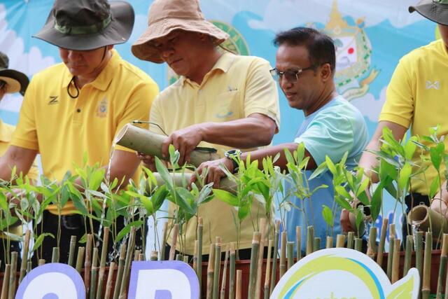 blcp-ปลูกป่าชุมชนบ้านมาบตารอด-ยืนหยัดสู่-esg-อย่างยั่งยืน