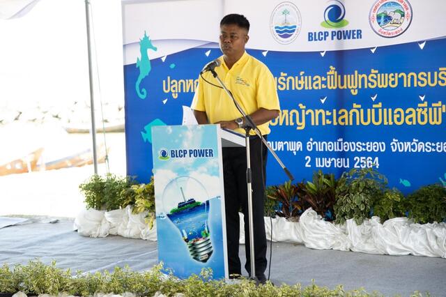 blcp-ร่วมฟื้นฟูระบบนิเวศ-หญ้าทะเล-บริเวณเกาะสะเก็ด-จ-ระยอง