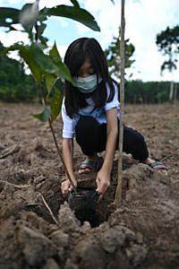โรงไฟฟ้าบีแอลซีพี-ร่วมกิจกรรมปลูกป่าชุมชนบ้านมะเดื่อ