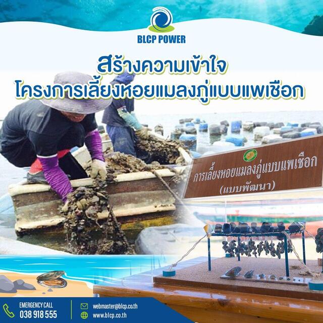 โรงไฟฟ้าบีแอลซีพี-มุ่งมั่นดำเนินธุรกิจอย่างรับผิดชอบต่อสังคมและสิ่งแวดล้อม