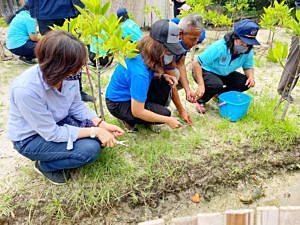BLCP-ร่วมปลูกป่าชายเลน-เพิ่มพื้นที่ป่าในเมือง-“ป่าชายเลนพระเจดีย์กลางน้ำ-อัญมณีหนึ่งเดียวในระยอง”