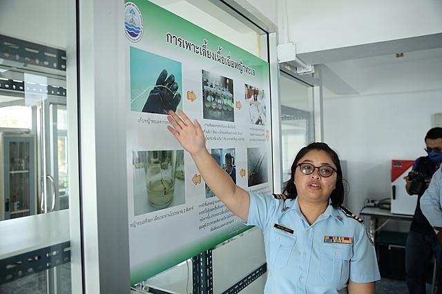 BLCP-จับมือภาครัฐและชุมชนในพื้นที่-ฟื้นฟูระบบนิเวศ-“หญ้าทะเล”-บริเวณเกาะสะเก็ด-จ-ระยอง-20210225115206