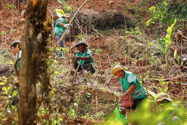 โรงไฟฟ้าบีแอลซีพี-มุ่งมั่นสร้างสิ่งแวดล้อมที่ดี-เคียงคู่ชุมชนอย่างยั่งยืน