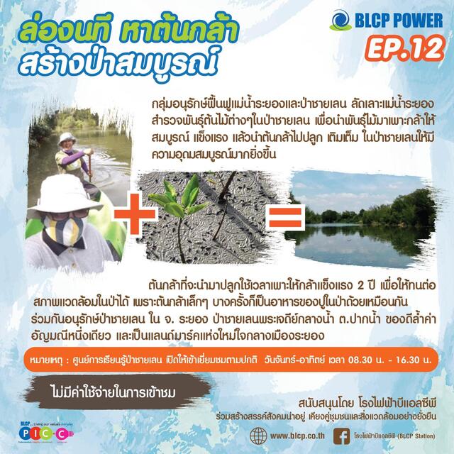 รอบรู้เรื่องป่าชายเลน