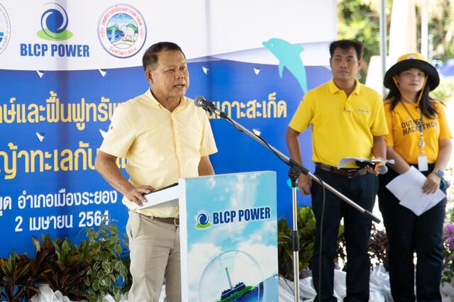 blcp-ร่วมฟื้นฟูระบบนิเวศ-หญ้าทะเล-บริเวณเกาะสะเก็ด-จ-ระยอง