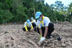 โรงไฟฟ้าบีแอลซีพี-ร่วมกิจกรรมปลูกป่าชุมชนบ้านมะเดื่อ