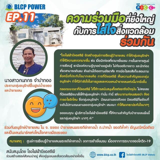 รอบรู้เรื่องป่าชายเลน
