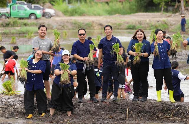 blcp-จับมือชุมชนคลองน้ำหูและภาคีเครือข่าย-ร่วมสืบสานภูมิปัญญาวิถีทำนาข้าว