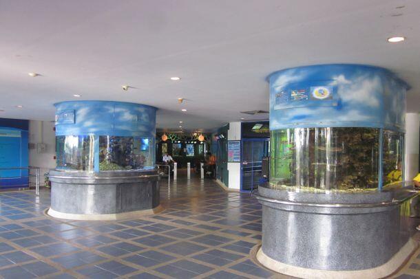 สถานแสดงพันธุ์สัตว์น้ำระยอง